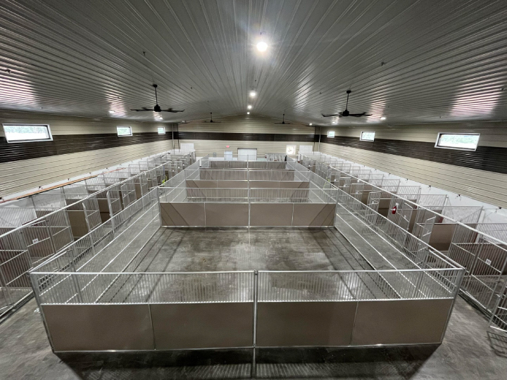 boardmoor pet resort, colorado springs pet boarding, colorado springs dog boarding, colorado springs #1 pet boarding, dog boarding colorado springs, pet boarding colorado springs, top rated dog boarding colorado springs, pet sitting colorado springs, best pet sitter colorado springs, dog wash colorado springs, pet washing colorado springs, dog grooming colorado springs, dog bathing colorado springs